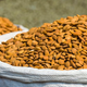 A big pile of almonds